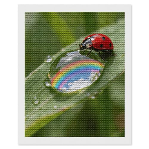 Kit art diamant adulte peinture diamant 5D broderie diamant diy