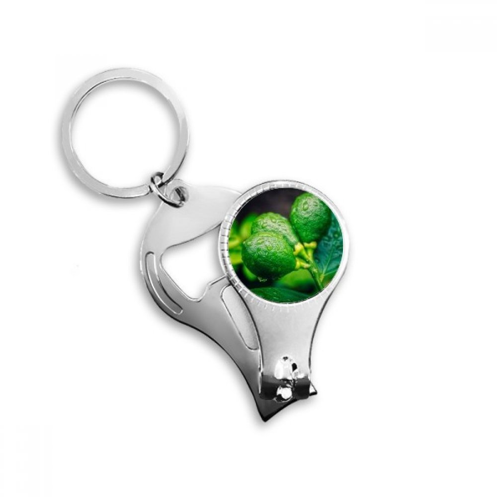 Fresh Fruits Lemon Picture Photography Nail Nipper Ring Key Chain Bottle Opener Clipper