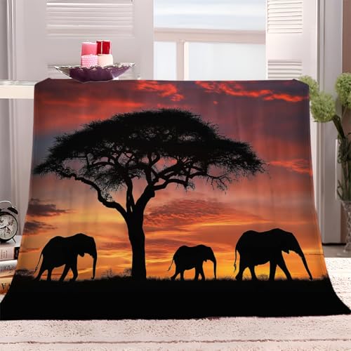 Kuscheldecke Decke 150x200 cm Afrika Elefant Sonnenuntergang Fleecedecke Flauschig Weich Warme Wohndecke Sofadecke für Teens Erwachsene, Schlafdecke Tagesdecke für Bett Couch