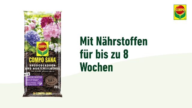 saatgut für fugen Saatgut Fugenmischung – Trittfest & pflegearm – WildLand