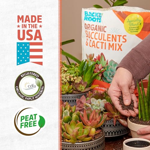 Back to the Roots 100% Organic Succulent & Cacti Mix (6 Quart) | Made in The ...