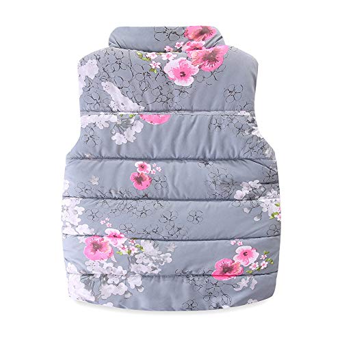 Mud Kingdom B07C56G381 Winter Vest Puffer Little Girls Floral Pattern Fleece Lined Mock Neck Button Up Pink Size 6-7 thumb #1