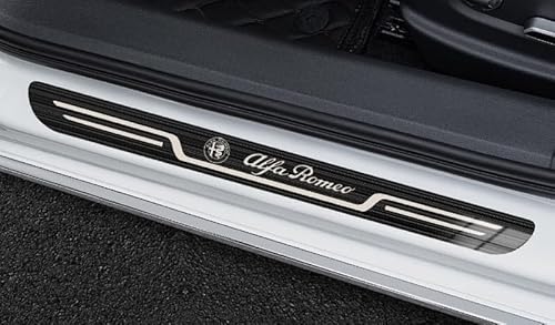 ŐV At@[h ԗp TChXebvK[h At@[hKp XJbtv[g ALPHARDAAGH40W AGH45W 20n 30n 40n SV[YΉ Ԃ̃hAVveN^[ veNVtB یXebJ[ h~ h~ ԃh