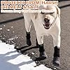 EXPAWLORER Anti Slip Dog Socks to Prevent Licking Paws, Winter Snow Dog Boots & Paw Protectors Booties for Hardwood Floors with Heart Grippers, Dog Shoes for Small Medium Large Senior Dogs Black M #2