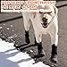 EXPAWLORER Anti Slip Dog Socks to Prevent Licking Paws, Winter Snow Dog Boots & Paw Protectors Booties for Hardwood Floors with Heart Grippers, Dog Shoes for Small Medium Large Senior Dogs Black S