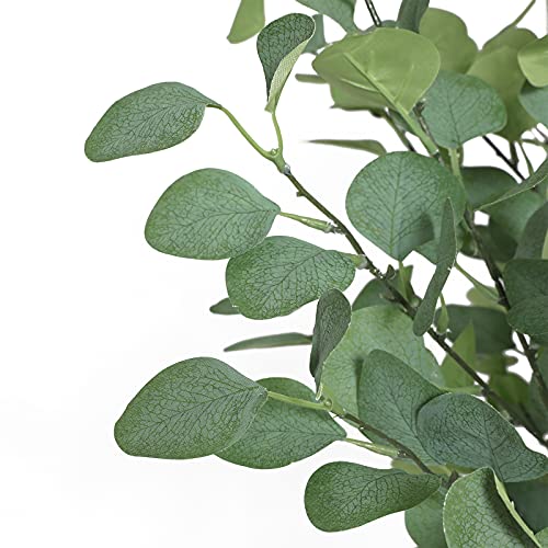 Viagdo Artificial Eucalyptus Tree 6Ft Tall 506 Silver Dollar Leaves Plants Fake Eucalyptus Stems Silk Plants For Living Room Decoration Modern Artificial Tree Home Party Wedding Decor Indoor #TOP1