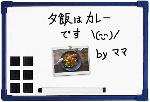 Iris Ohyama Whiteboard NWP-23 Blue
