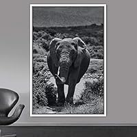 Framed Canvas Wall Art Duotone Elephants Animals Black and White Bohemian Duotone Elephants Expressive Grey Living Room Photography - 16x24 inches