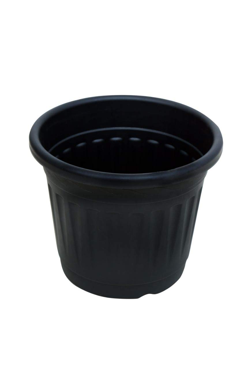 See full amazon price history chart for A SARO Plastic Gardening Flower Pots (Black, 16 Inch) - 5 Pieces A SARO Plastic Gardening Flower Pots (Black, 16 Inch) - 5 Pieces (B082YVGVR7) Amazon Price History, Amazon Price Tracker