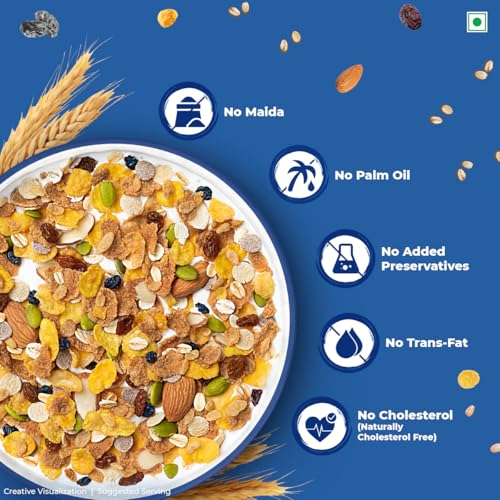 Image of Kellogg's Muesli 0% Added Sugar | 12 In 1 Power Breakfast | 10g Protein Per Serve | No Maida| No Palm Oil | India's No 1 Muesli | 500g (Pack of 3)