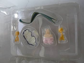 Amazon | フィギュア コトブキヤ 片瀬雪希 -ネコミミブルマ- 17