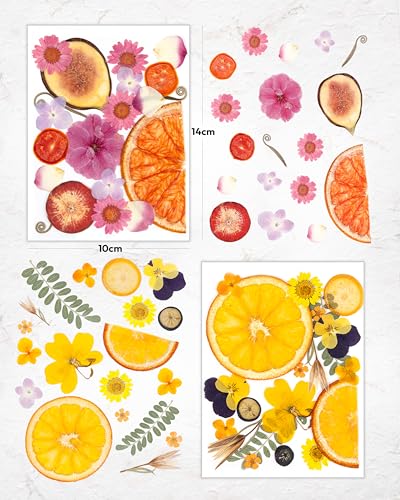 Image of Resiners Dried Pressed Flowers for Resin Molds Scrapbook Supplies