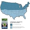 Pennington Smart Seed Perennial Rye Grass Seed, 3 lb