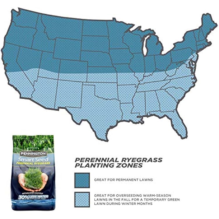 Pennington Smart Seed Perennial Rye Grass Seed, 3 lb
