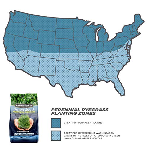 Pennington Smart Seed Perennial Rye Grass Seed, 3 Lb #TOP1