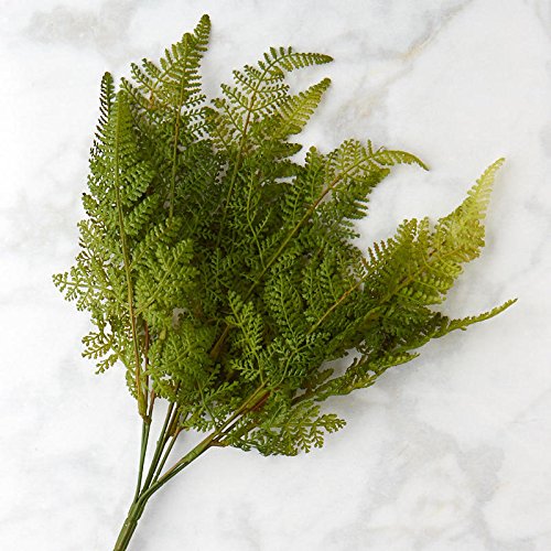 Factory Direct Craft Fern Bush-(3 Bushes) Softly Flocked Vinyl Fern Has a Mossy Outdoor Look for Realism. The Natural Green Coloring Makes Them Perfect for Centerpieces, or Rearrangement of Florals
