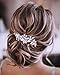 Catery Bride Wedding Headband Silver Crystal Hair Vine Flower Hair Piece Leaf Pearl Hair Jewelry Braid Headpieces Bridal Hair Accessories for Women and Girls