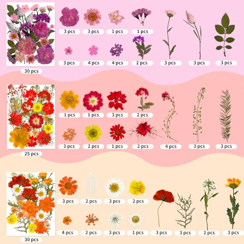 Image of 207 Pcs Dried Pressed Flowers for Crafts, Dried Pressed Flowers for Resin, Bulk Natural Dried Flowers Kit with Butterfly Stickers&Tweezers for DlY Resin Molds, Candles, Soap,Jewelry Making, Art Crafts