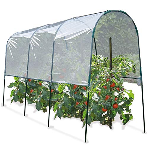 Tunnel de protection pour tomates pour 2020 > votre comparatif Serre