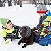 Aomig Ohrenklappe für Hunde mit Stretchbändern Hunde Gehörschutz - Verstellbare Größe (Grau,S)