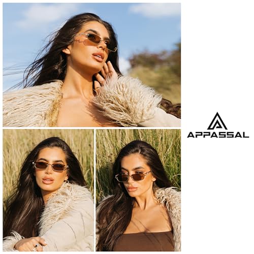 Y2K Snake Sunglasses for Women Men Narrow Rectangular Y2k Chic Sunnies AP3649
