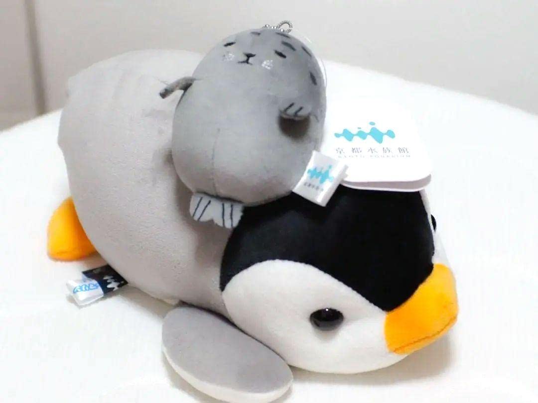 京都水族館】京都の人気者！国の特別天然記念物オオサンショウウオに