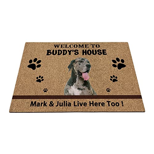 Felpudo de bienvenida para cachorros de gran danés, divertido para mascotas, decoración del hogar, bienvenido a la casa del perro, 35.4 x 23.6 pulgadas Cover
