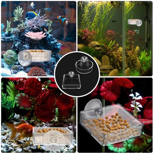 2 stuks aquariumvoerbakken, acryl voederschaal voor garnalen, aquarium, decoratie, 6,5 cm, voederkom aquaria, met zuignap voor garnalen en vissen - Afbeelding 6