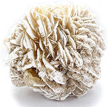 Raw Selenite Desert Rose Stone - Large Desert New Rose Selenite Stone - Gorgeous Display Piece Rock Paradise Exclusive