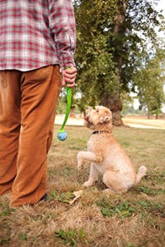 Image of Chuckit! Fetch Pack Dog Balls - Interactive Dog Toys, High-Bounce Fetch Ball, Floating Ultra and Rugged Balls, Durable - Size Small, 2-inch Diameter, Set of 3 (Pack of 12)