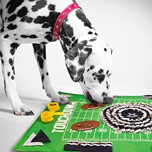 NFL Dallas Cowboys Pet Snuffle Mat, Football Field Feeding Game, Interactive Dog Sniffing Food Puzzle Mat Toy, Pet Foraging Mat, Slow Feeding Healthy Cat, Pet Treat Puzzle