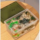 Akwarium Akwarium dla ryb domowych, zbiornik na żółwie, specjalny pojemnik, pudełko do karmienia z przesuwaną pokrywą do ekspozycji na biurku(Green,27x17.5x14.5cm)