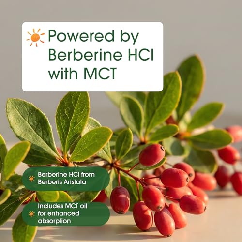 Image of NatureBell Berberine 1,000mg - 120 Softgels - Antioxidant, Alkaloid & Adaptogenic Support* - Made with MCT Oil - Gluten-Free, Dairy-Free, Soy-Free
