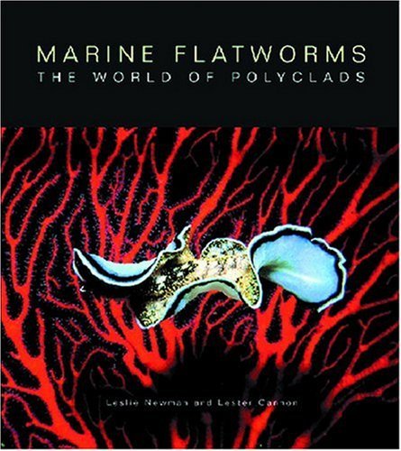 Marine Flatworms: The World of Polyclads