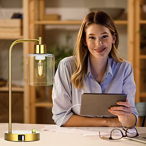 Set Of 2 Industrial Table Lamps With 2 Usb Port, Gold Fully Stepless Dimmable Lamps For Bedrooms, Bedside Nightstand Desk Lamps With Clear Glass Shade For Reading Living Room Office 2 Led Bulb #TOP5