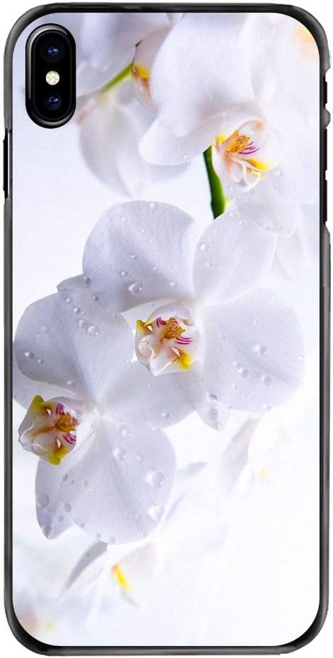 Orchid Flowers Hd Wallpaper For Apple Ipod Touch 6 6g 6th Gen Accessories Hard Phone Case Amazon Co Uk Electronics Photo Orchid Flowers Hd Wallpaper For Apple Ipod Touch 6 6g 6th Gen Accessories Hard Phone Case Amazon Co Uk Electronics Photo