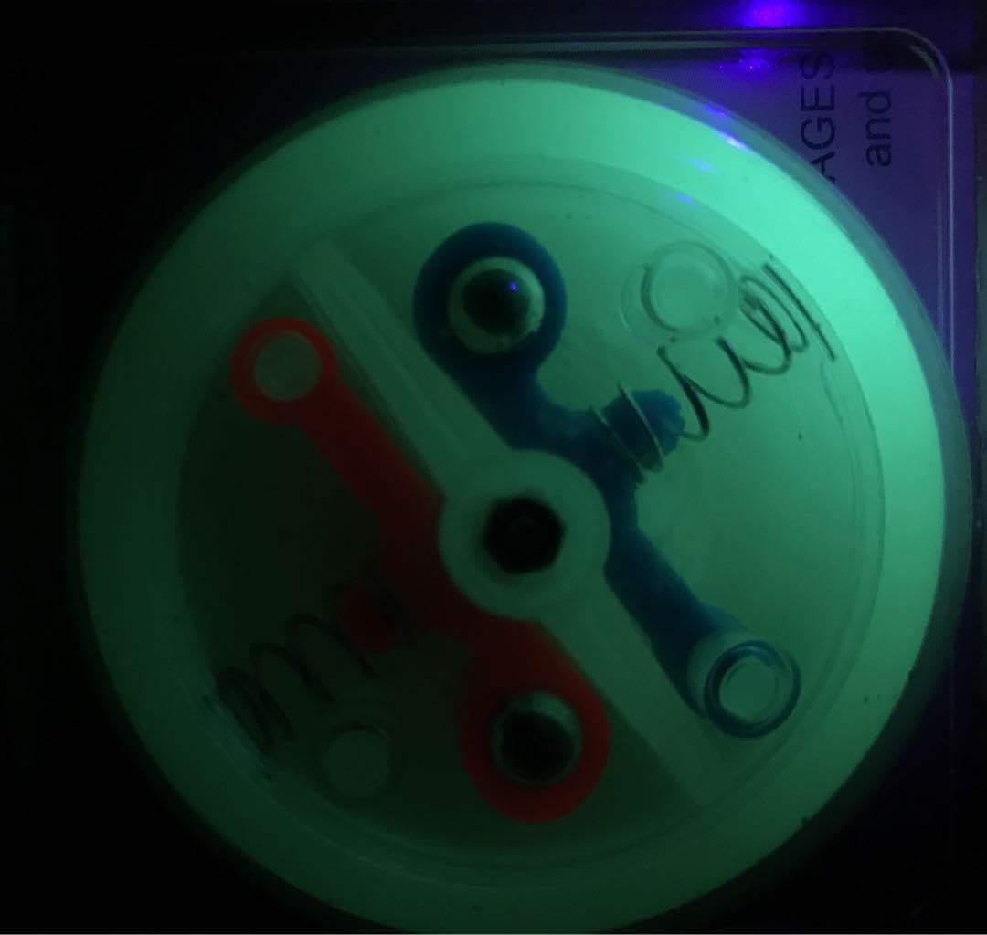 Amazon.co.jp: YOMEGA BRAIN GLOW in the dark : Toys & Games