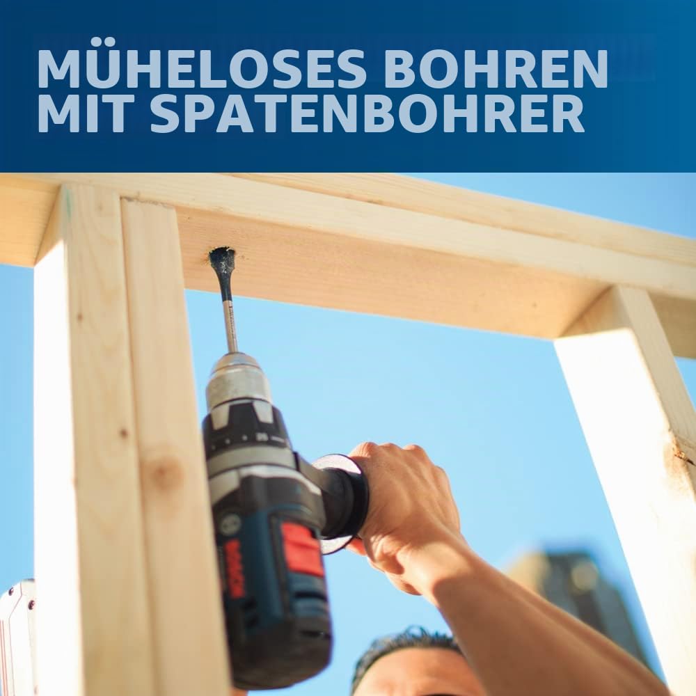 Bosch DSB5013P Daredevil Spaten-Bit-Set in Tasche, 13-teilig