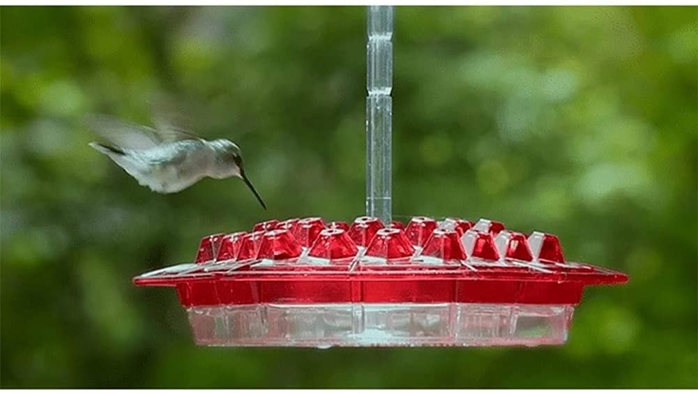 Comedero para colibríes y Foso para Hormigas Incorporado Fácil de Limpiar Patio Jardín Decoración Bebedero Semillas y dispensador de plástico