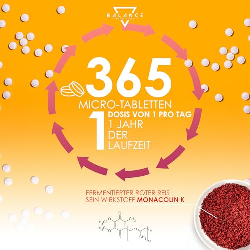 FERMENTIERTER ROTER REIS® CHOLESTERIN - 365 Tabletten für 12 Monate | Cholesterin Senken | Roter Reis Choltesterin | 2,9 mg Monacolin K | Cholesterinpräparate mit Coenzym Q10 | Made in Italy