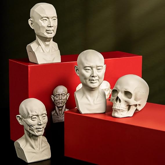 Man Head Models for Portrait Sketching, Resin Plaster Statues, Still Life Skulls Drawing Models, Resin Human Manikin Head Sculpture for Medical Drawing Teaching 11cm (4.33 in) (Skull)