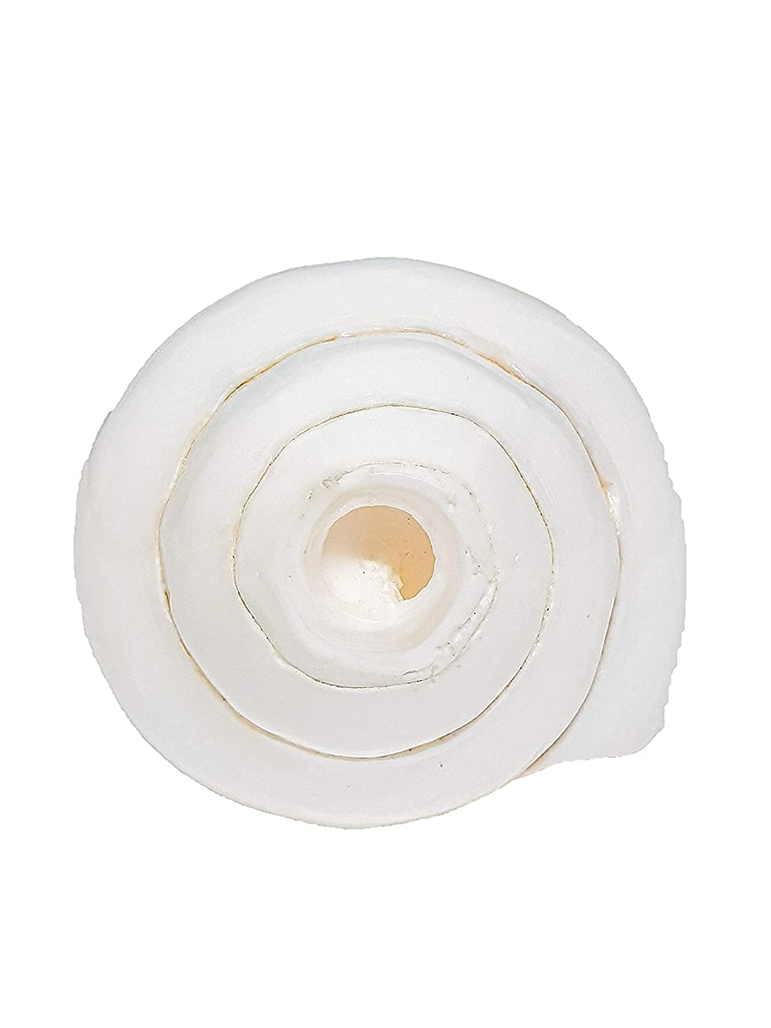 BHAGVATI® Paquete de 1 carcasa VAMAVARTI SHANKH con sonido eco educado (6)