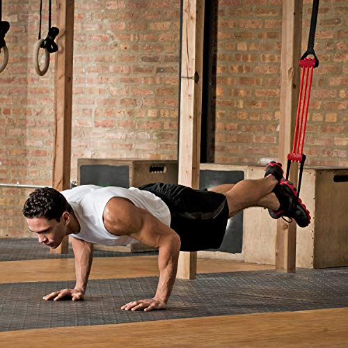 Image of Lifeline Pull Up Revolution Assistance System to Improve Arm, Shoulders and Chest Strength with Assisted Pull Ups and Chin Ups, 3 x 10 x 6.5 inches Red