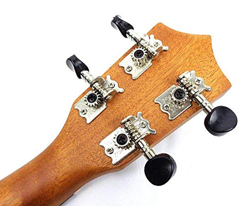 Ukulele PHX Soprano Special - UKP21SNA