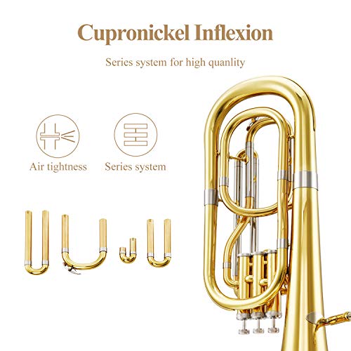 Eastar Marching Bb Baritone Horn Intermediate Gold Lacquer B Flat with Tuner Hard Case Baritone Mouthpiece Gloves Valve Oil Baritone Cleaning Kit, EBT-400