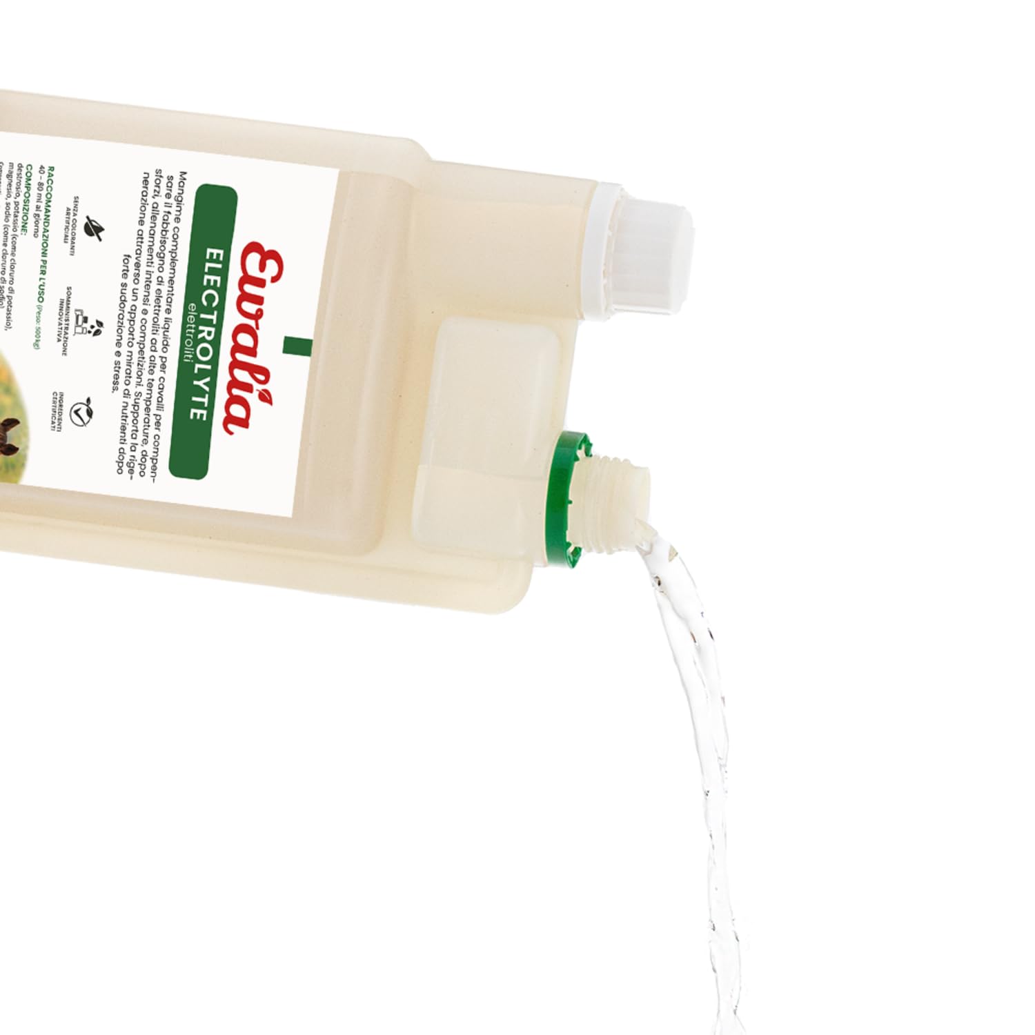 Ewalia Elektrolyt 1 L