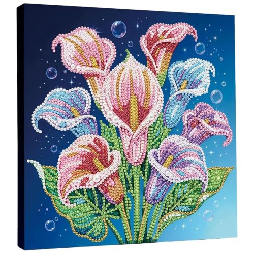 Kit de peinture de perles pour adultes Callalily 25x25 cm avec cadre en bois pour salon