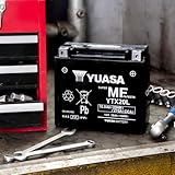 Zoom IMG-1 yuasa ytx20l 12 v 270