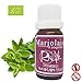 Produktbild Ressources Naturelles - Majoran Ätherische Öl (Bio) 10 Ml