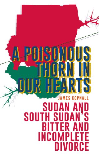 Buy A Poisonous Thorn in Our Hearts: Sudan and South Sudan's Bitter and Incomplete Divorce — BookShops.in